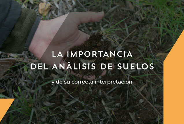 La Importancia del Análisis de Suelos La Importancia del Análisis de Suelos