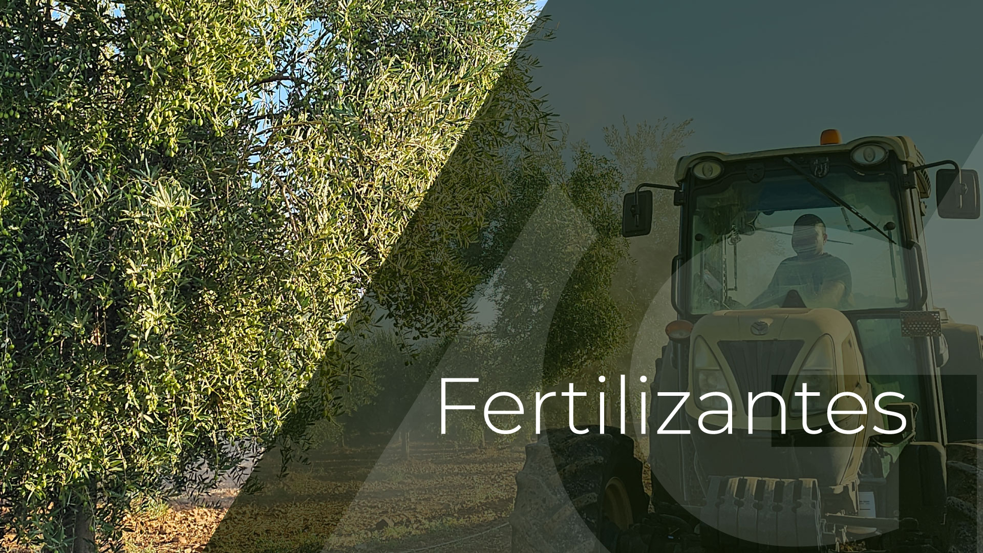 Fertilizantes-GMFERT